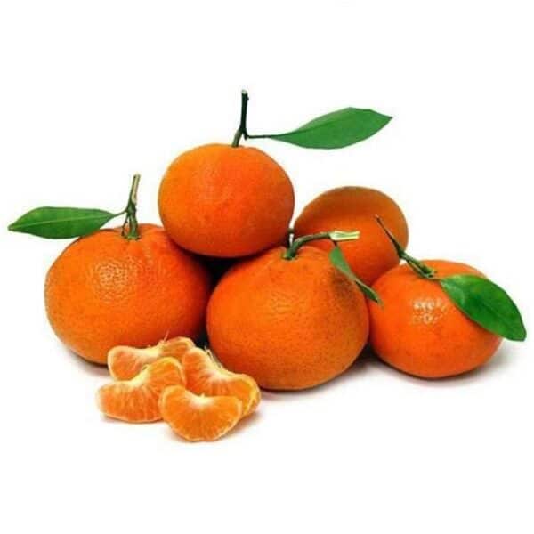 Clementine bio