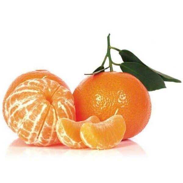 Mandarino tardivo biologico Kg 12